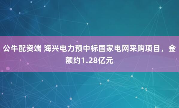 公牛配资端 海兴电力预中标国家电网采购项目，金额约1.28亿元
