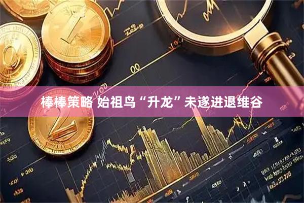 棒棒策略 始祖鸟“升龙”未遂进退维谷