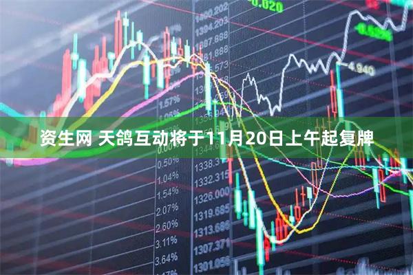 资生网 天鸽互动将于11月20日上午起复牌