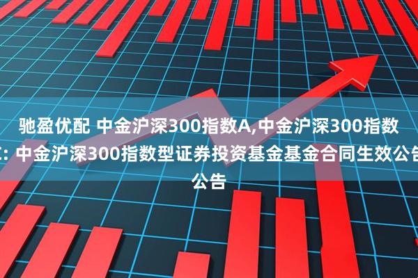 驰盈优配 中金沪深300指数A,中金沪深300指数C: 中金沪深300指数型证券投资基金基金合同生效公告