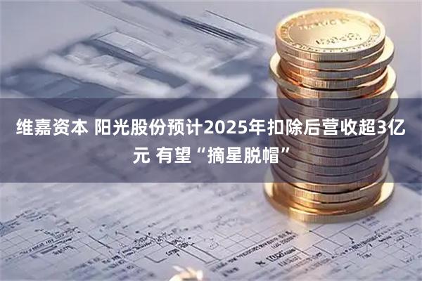 维嘉资本 阳光股份预计2025年扣除后营收超3亿元 有望“摘星脱帽”