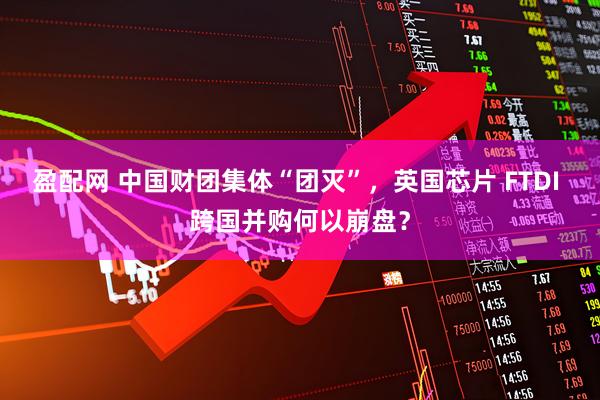 盈配网 中国财团集体“团灭”，英国芯片 FTDI 跨国并购何以崩盘？